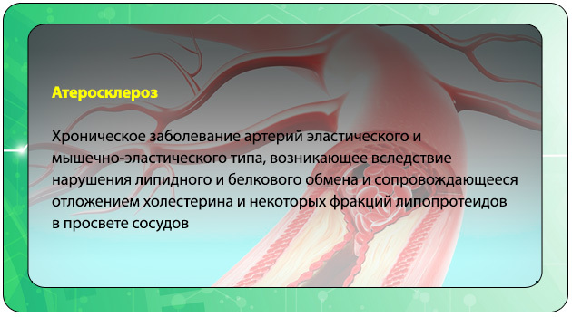 Как почистить сосуды ног от бляшек: обзор препаратов и народных средств