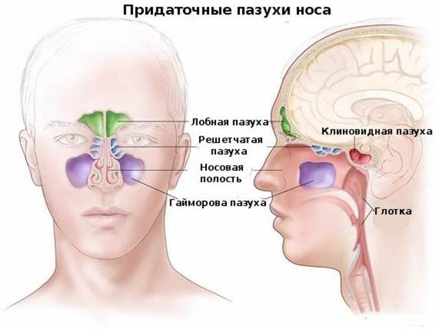 Отзывы врачей и больных о Синуфорте при гайморите: инструкция по применению