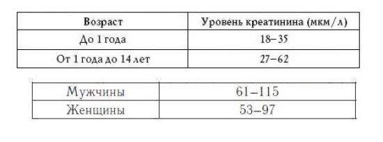 Креатинин в крови повышен: причины