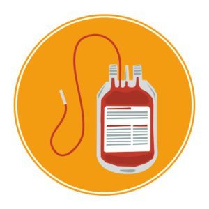 Сдача крови на донорство: правила, цена, отгулы, польза и вред, противопоказания