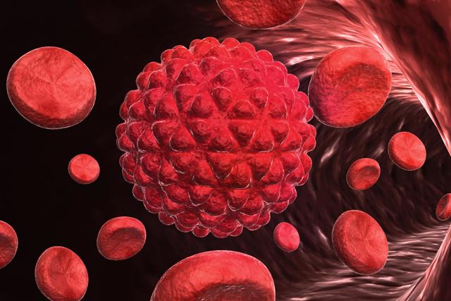 Особенности протекания и лечения миелоидного лейкоза