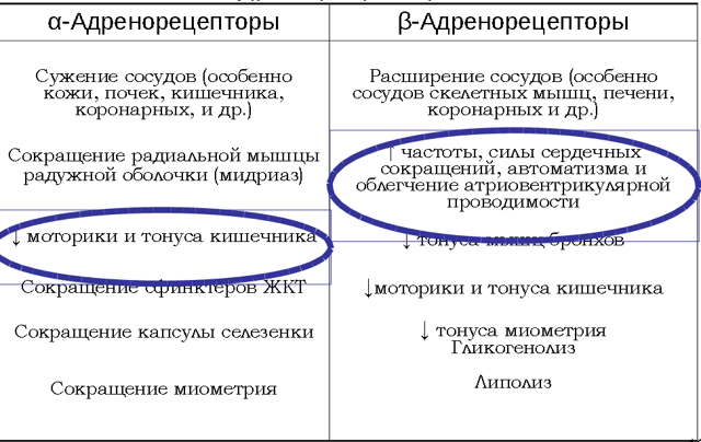 Кардиопротекторы: назначение и применение. Защити свое сердце.