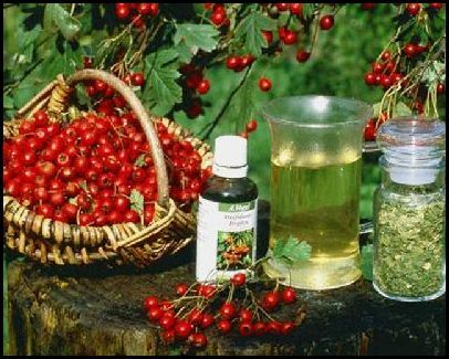 Как лечить стенокардию сердца, используя народные методы