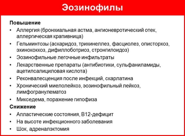 Эозинофилы повышены: патология или вариант нормы