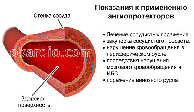 Препараты для укрепления сосудов, вен и капилляров: обзор эффективных лекарственных средств