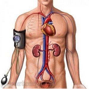 Как мерить давление утром • Как вылечить гипертонию