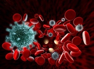 Норма лимфоцитов в крови у мужчин – виды лимфоцитов и их функции, нормы и отклонения