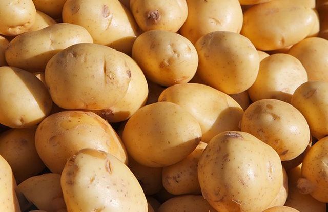 Лечение геморроя в домашних условиях быстро картофелем