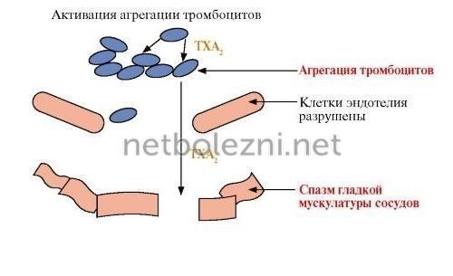 Аспирин кардио от чего помогает? Что лучше Кардиомагнил или Аспирин