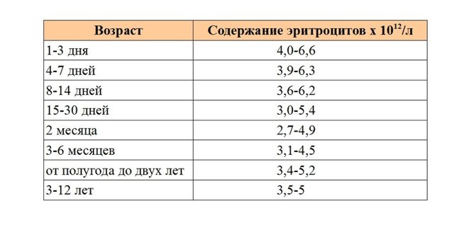 Общий анализ крови с формулой - расшифровка: норма и отклонение показателей