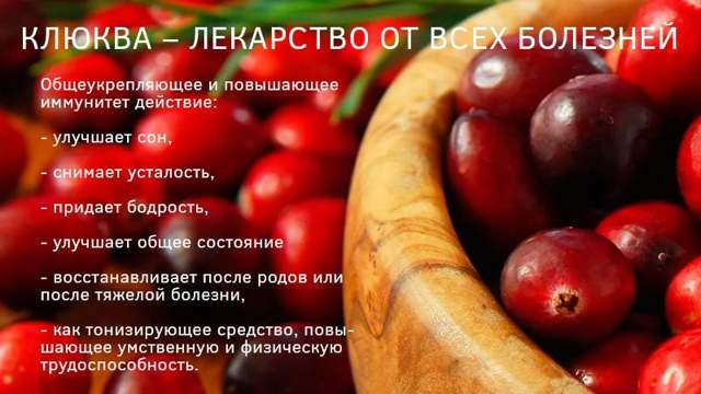 Клюква от гипертонии рецепты - Гипертонии нет