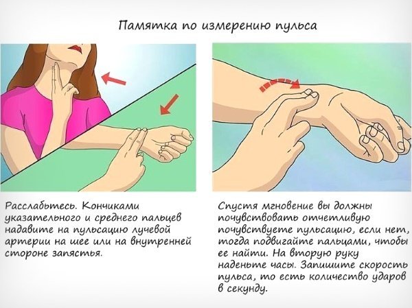 Пульс при ходьбе: норма у мужчин и женщин