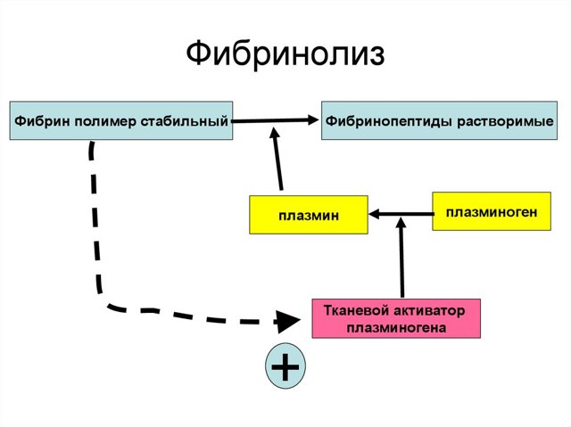 Коагулограмма - что это за анализ, как подготовиться, где сдавать, расшифровка результатов у взрослых, детей, беременных