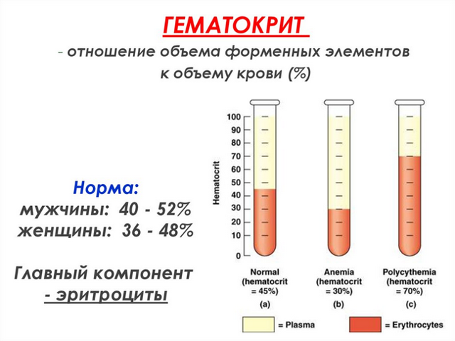 HCT в анализе крови – что это такое, что такое гематокрит в анализе крови? Низкий гематокрит, повышен гематокрит в крови