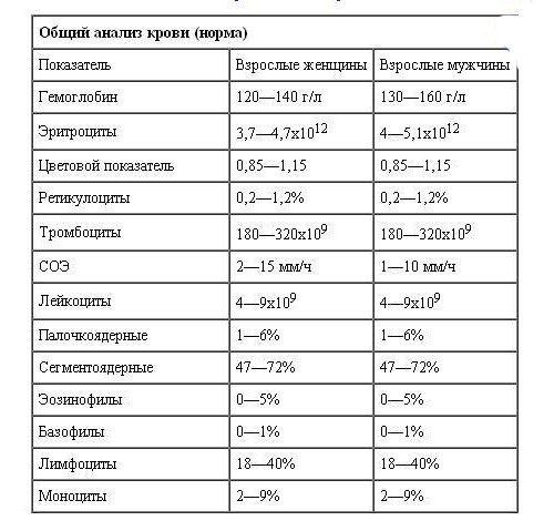 Что показывают лейкоциты в крови: норма и патология