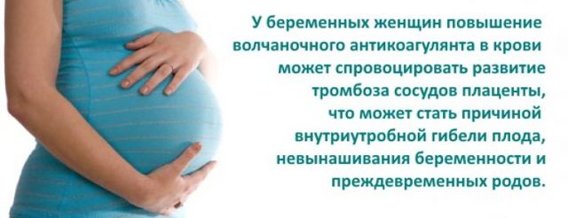 Волчаночный антикоагулянт в анализе беременной, подготовка к анализу