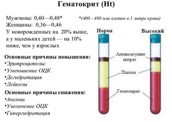 Гематокрит повышен — причины, лечение и чем опасно такое состояние?