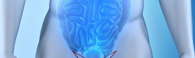 Варикоз на яичках: основные проявления