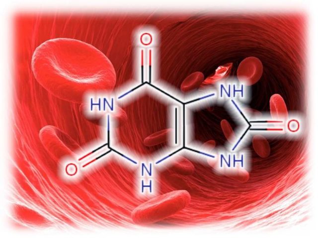 Мочевая кислота составляет уменя 755 что делать. Какая норма мочевой кислоты в крови мужчин, женщин и детей
