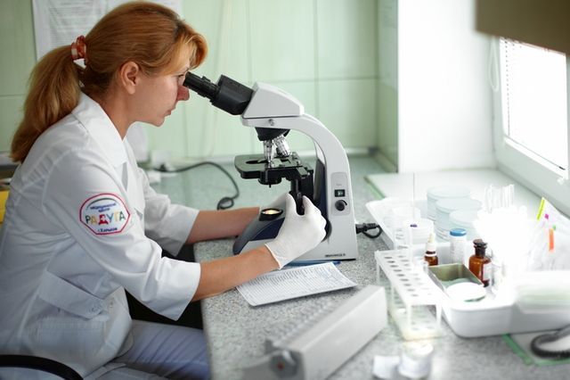 Посев крови - что это, что показывает бактериологический посев