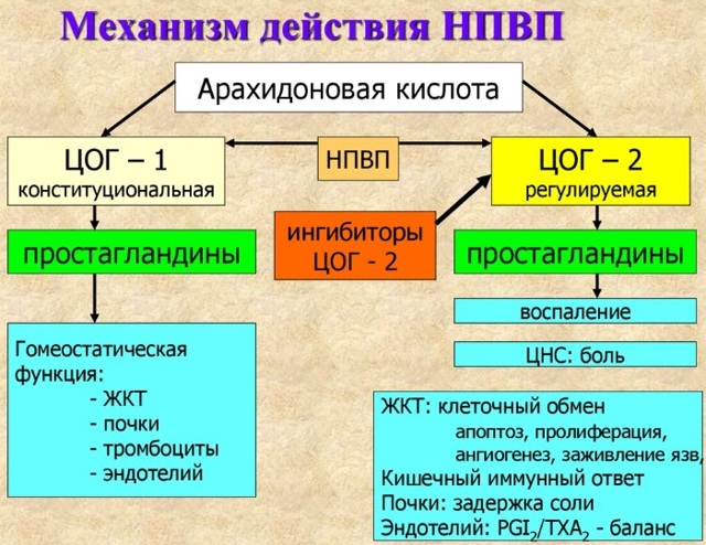Ортофен мазь: инструкция по применению, состав, цена