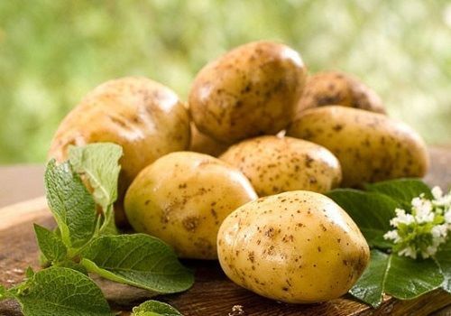 Лечение геморроя в домашних условиях быстро картофелем