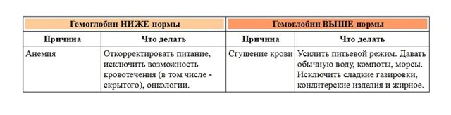 Общий анализ крови - норма и расшифровка результатов в таблицах у детей и взрослых