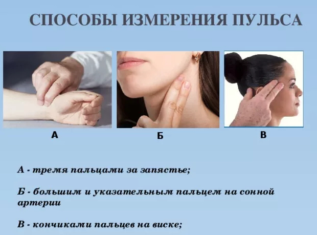 Какое должно быть сердцебиение у человека