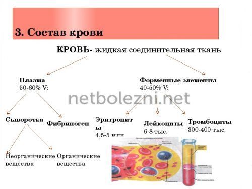 Препараты для разжижения крови, список средств и лекарств разжижающих кровь и препятствующих тромбообразованию