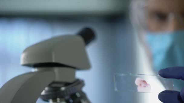 ИФА анализ крови: что такое, почему положительный, расшифровка теста