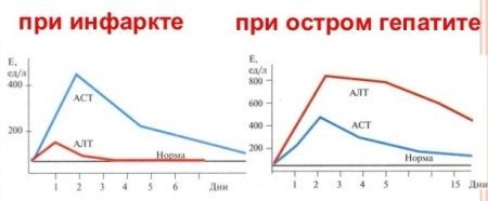 АЛТ – что это такое? АЛТ повышен (аланинаминотрансфераза повышена) – что это значит?