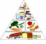 Заболевания по группе крови (болезни, влияющие на здоровье)