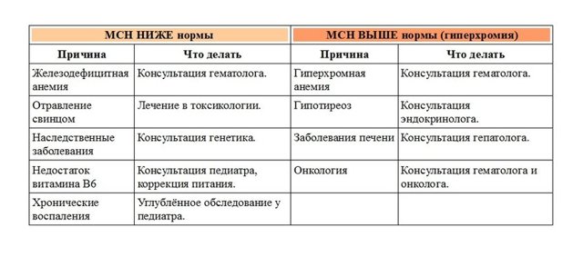 Общий анализ крови с формулой - расшифровка: норма и отклонение показателей