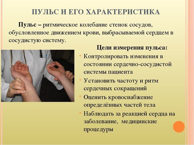 Характеристика пульса: основные показатели нормы