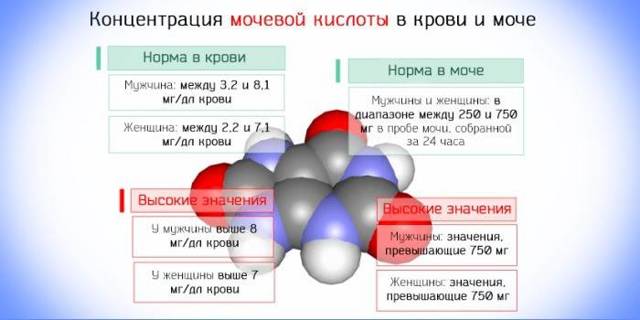 Мочевая кислота составляет уменя 755 что делать. Какая норма мочевой кислоты в крови мужчин, женщин и детей