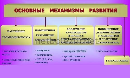 Пониженные тромбоциты в крови, что это значит и как лечить?
