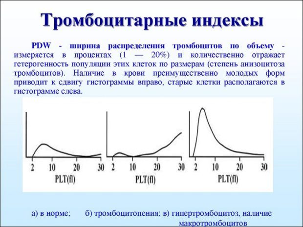 Что означает pdw в анализе крови и методы расшифровки