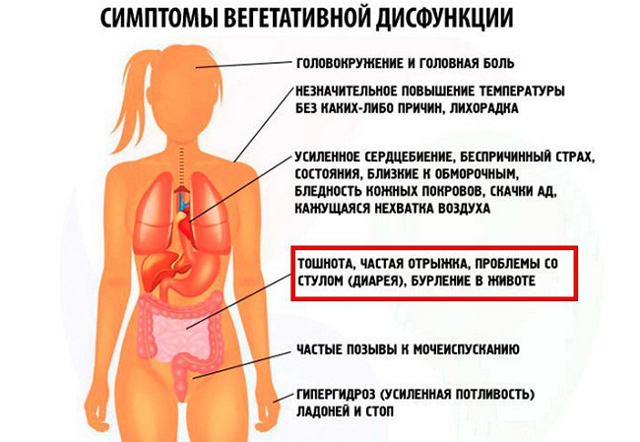Синдром вегетативной дисфункции : причины, симптомы, диагностика, лечение