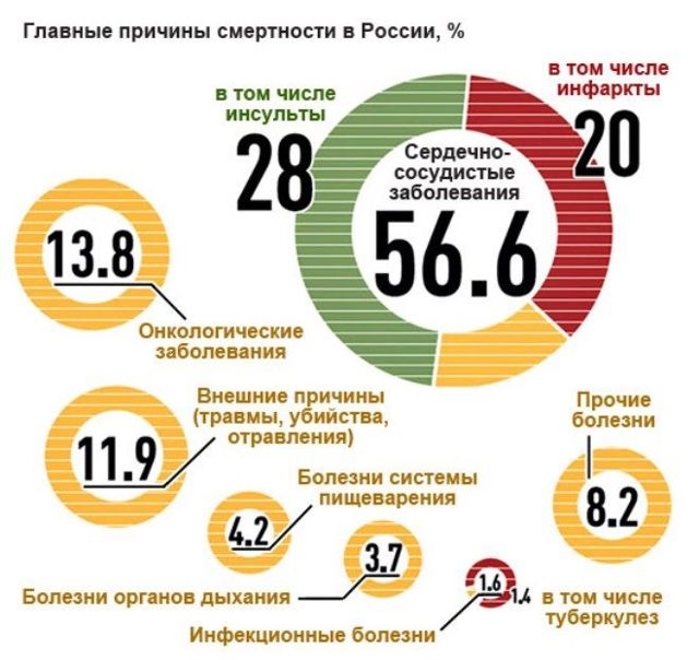 Профилактика сердечно- сосудистых заболеваний и борьба с ними - Сердечно-сосудистые заболевания - Картинки по медицине - 184985