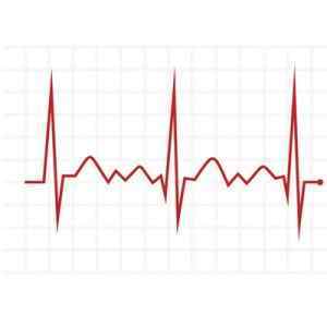 Нормосистолия, тахисистолия и брадисистолия на ЭКГ: что это, норма и патология