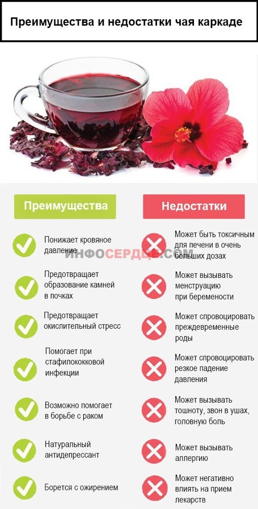 Каркаде и давление - повышает или понижает?