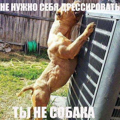 Гормон инсулин - все что нужно знать для похудения или набора массы