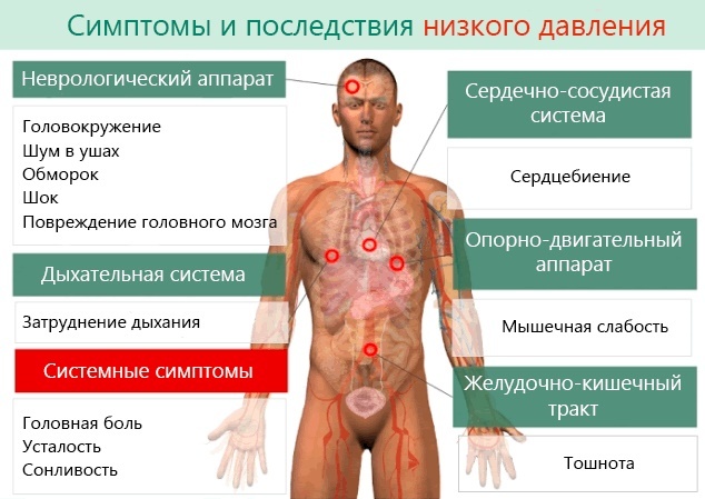 Систолическое артериальное давление: что это такое