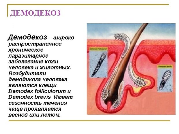Линимент синтомицина - инструкция, применение, назначения
