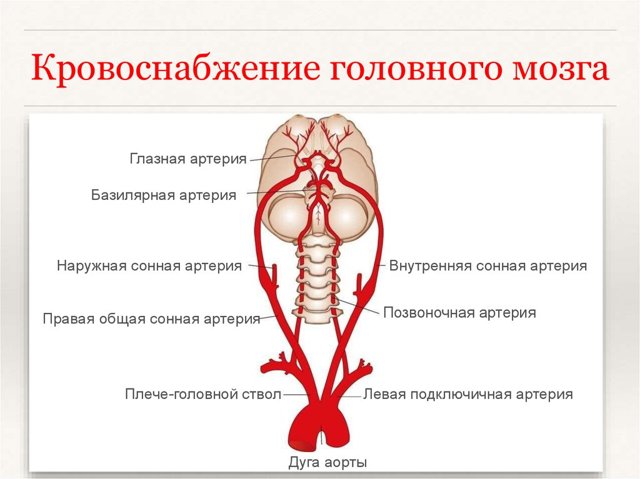 Экстравазальная компрессия позвоночной артерии