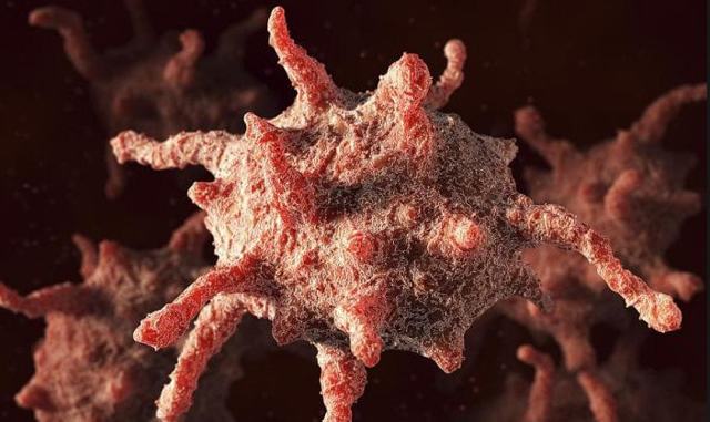 Тромбоциты., Свойства тромбоцитов., Функции тромбоцитов. - Форменные элементы крови. Норма и патология