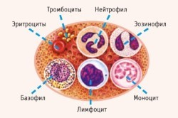 Последствия потери крови.