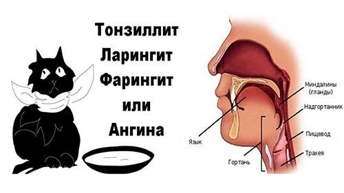 Люголь спрей: инструкция по применению и состав