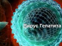 Anti hcv подтверждающий положительный что это значит — Лечим печень
