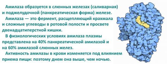 Норма диастазы в моче у взрослых и детей: при панкреатите, анализ, расшифровка результатов